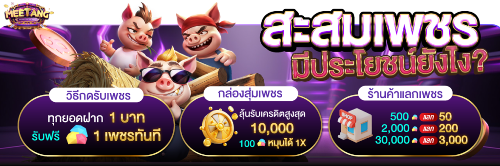 สล็อตออนไลน์ แทงบอล